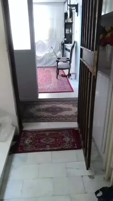 آپارتمان سندار تک برگ ملکی|فروش آپارتمان|مشهد, آیت الله کاشانی|دیوار