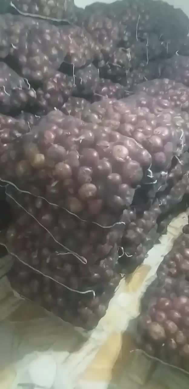 پیاز قرمز|عمدهفروشی|اشنویه, |دیوار