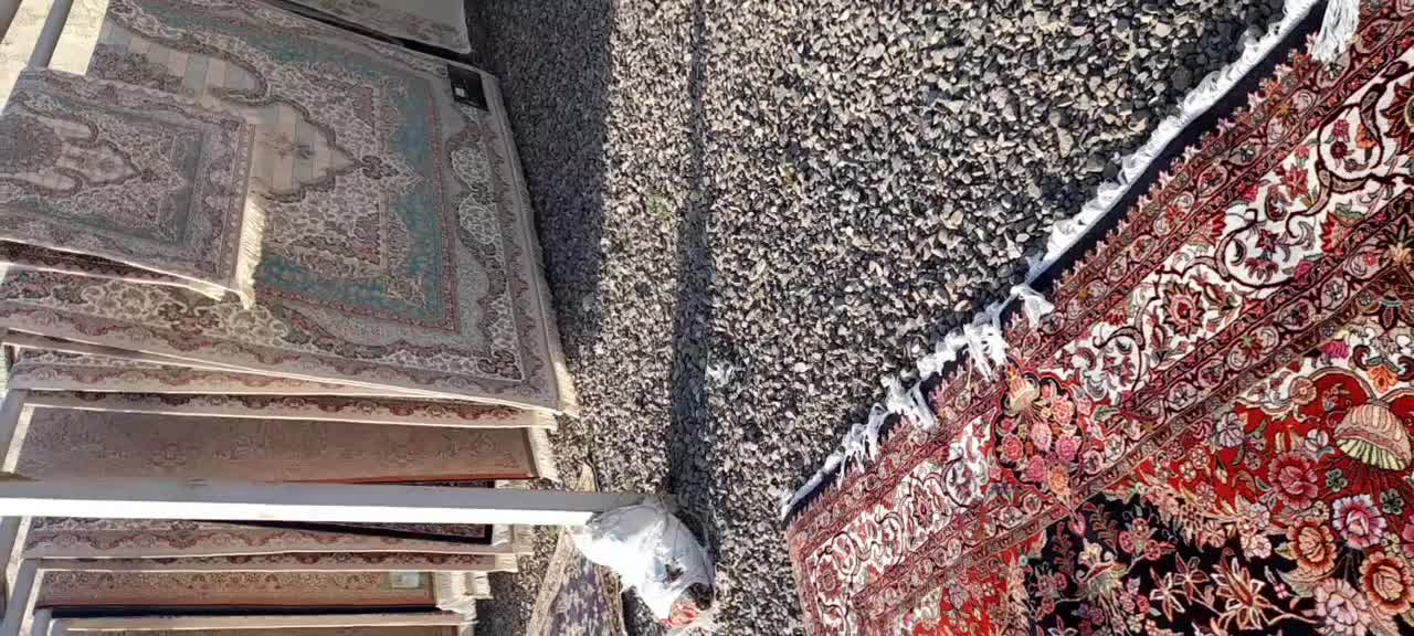 قالیشویی محمدی|خدمات نظافت|زنجان, |دیوار