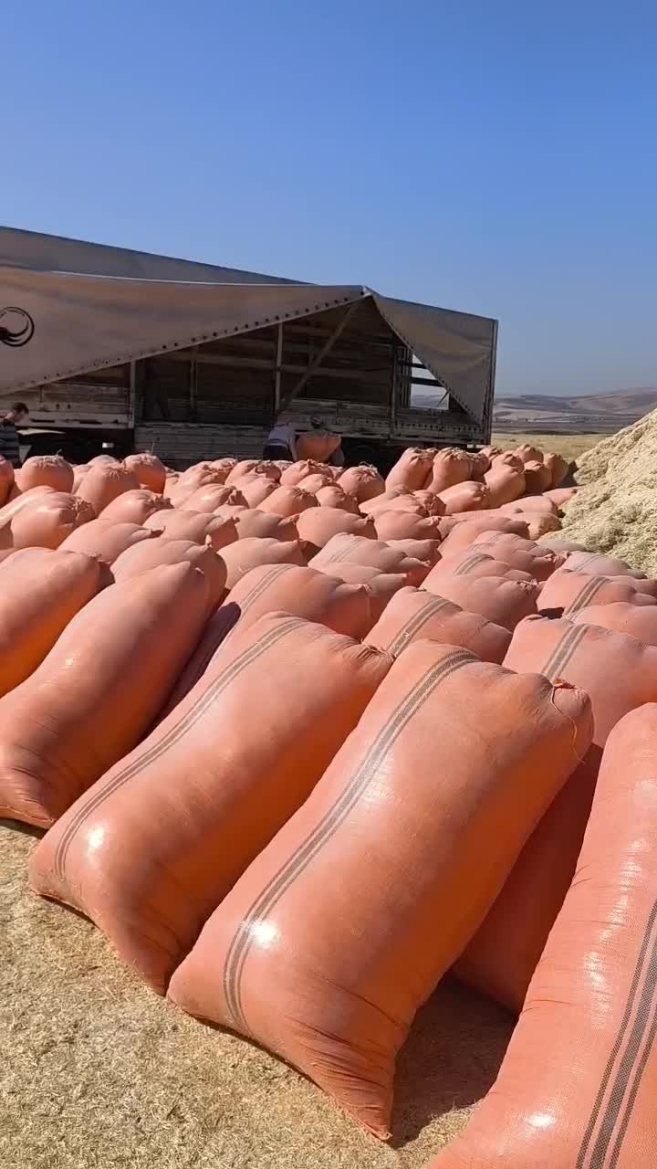 کاه کمباینی|عمده‌فروشی|مشهد, انقلاب|دیوار