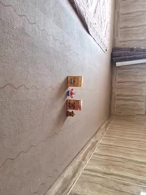لگو|اسباب‌‌بازی|پشتکوه (فارس), |دیوار