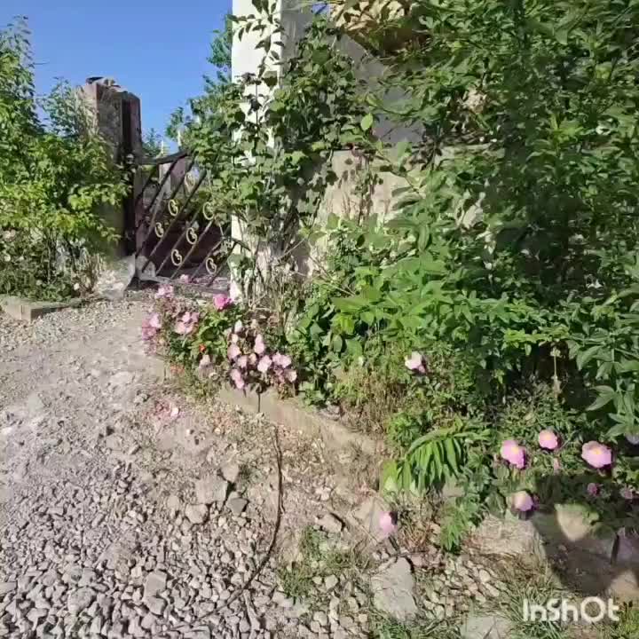 ویلای دوخوابه استخرآبگرم نوسازوتمیز|اجارهٔ کوتاه‌مدت ویلا و باغ|سلمان‌شهر, |دیوار