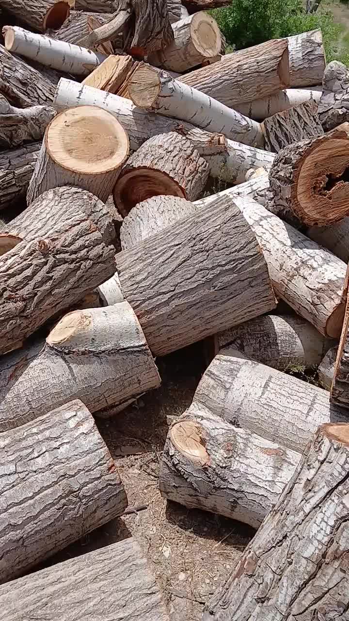 هیزم گردو و تبریزی و انجام هرس کاری و پیوند درخت|خدمات باغبانی و درختکاری|دماوند, گیلاوند|دیوار