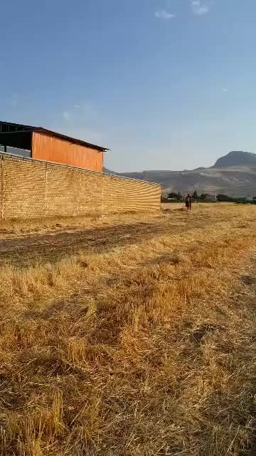 فروش مادیون با کره مادیان|اسب و تجهیزات اسبسواری|سیلاخور, |دیوار