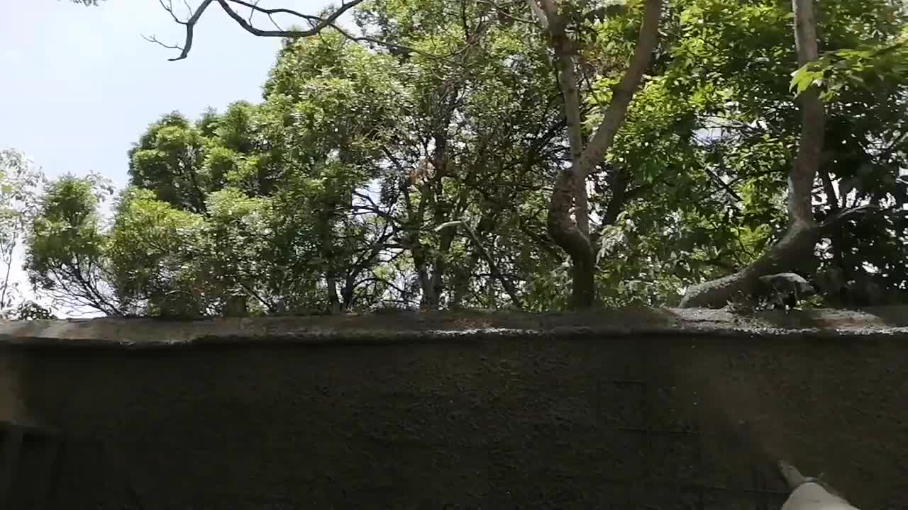 شاتکریت نصب پانل اجرای نبشی کشی|خدمات پیشه و مهارت|همدان, |دیوار