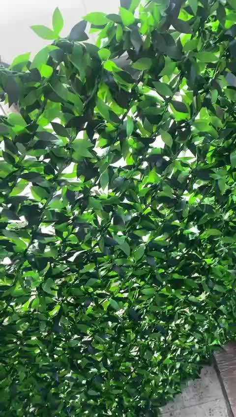 چمن وارداتی و فنس با قیمت کارخانه|مصالح و تجهیزات ساختمان|اهواز, کوی ملی راه|دیوار