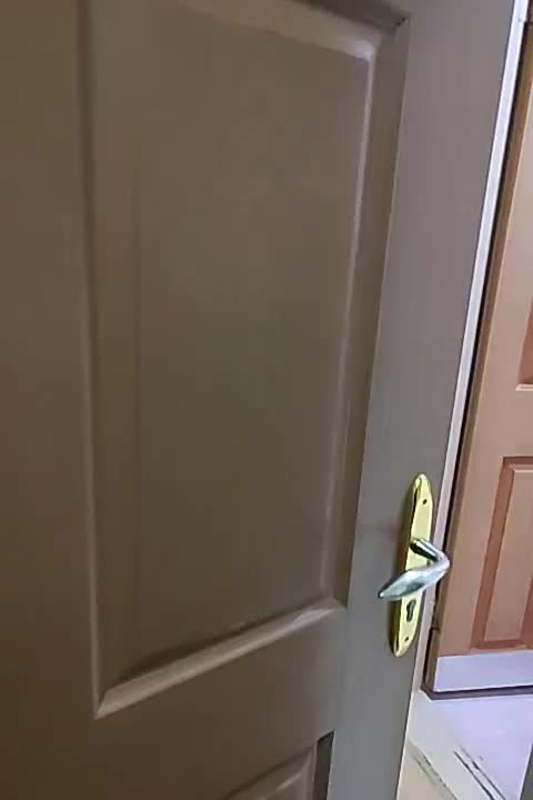 آپارتمان|اجارهٔ آپارتمان|زنجان, |دیوار