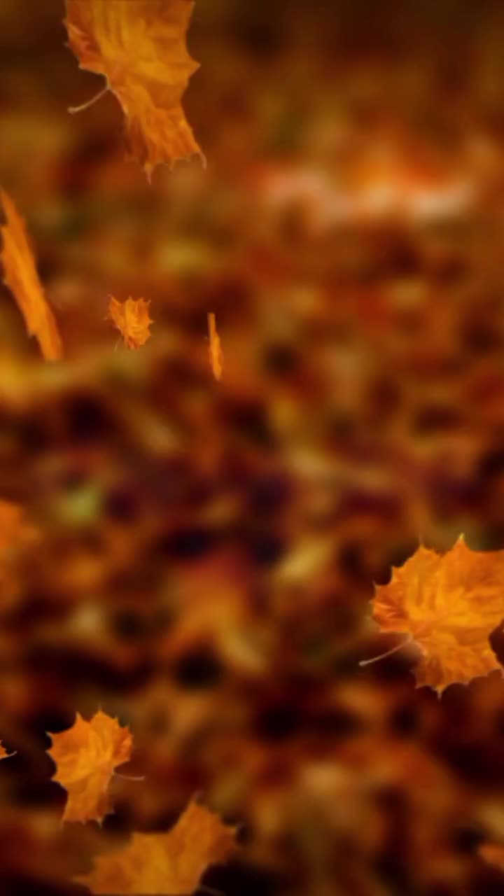 آموزش ریاضی و فیزیک تضمینی همه مقاطع|خدمات آموزشی|کرمان, |دیوار