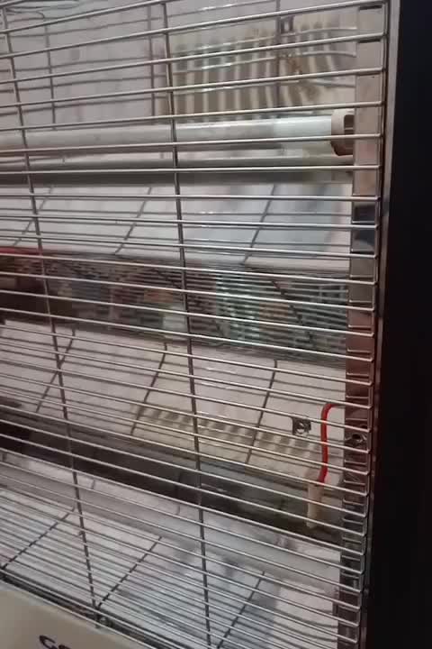 هیتر برقی|بخاری، هیتر، شومینه|صدرا-فارس, فاز ۱|دیوار