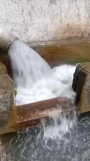 اجاره مزرعه پرورش ماهی قزل آلا با آب چشمه|اجارهٔ دفتر صنعتی، کشاورزی، تجاری|ماسال, |دیوار