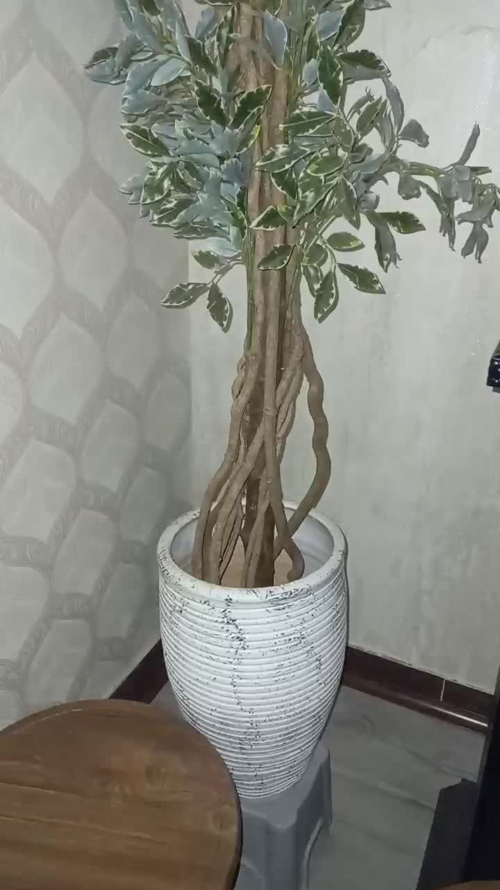 درختچه ی مصنوعی خارجی|گل مصنوعی|کهریزک, |دیوار