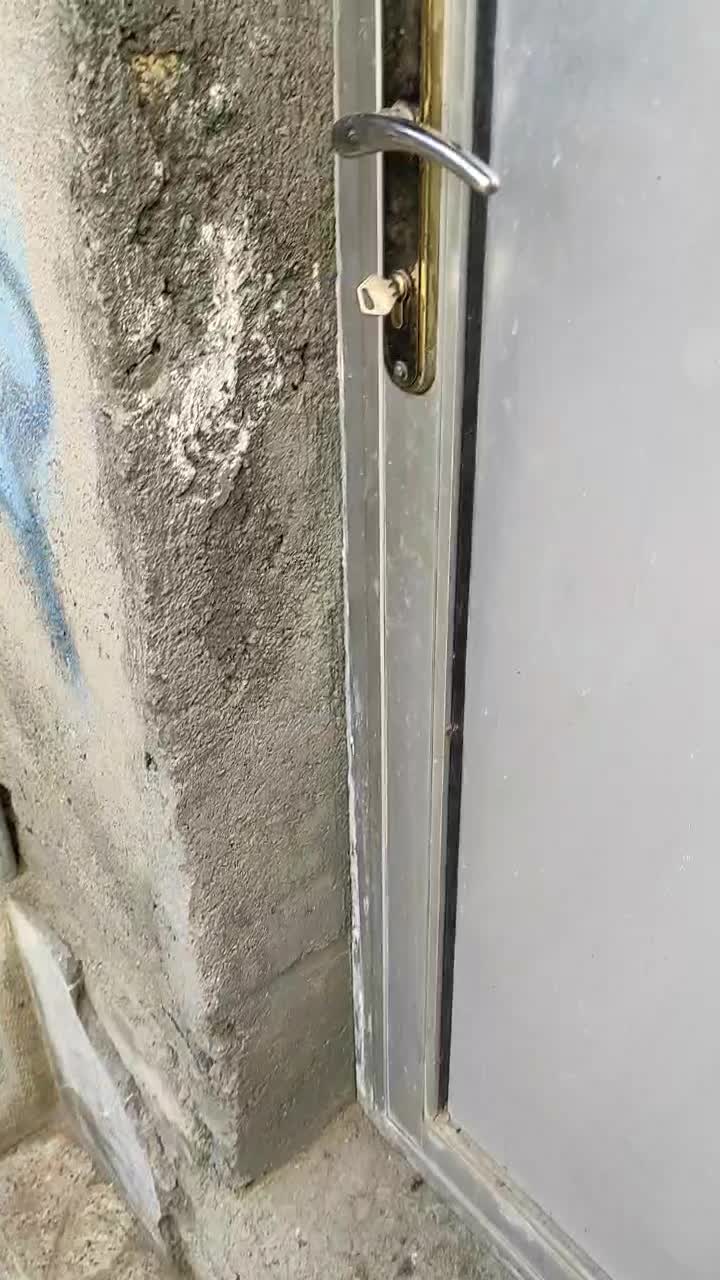 طاقچه ویاندوت وایت بوف جی اس جی|حیوانات مزرعه|مشهد, ویلاشهر|دیوار