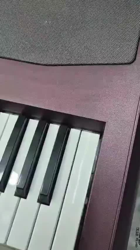 KorG pa1000|پیانو، کیبورد، آکاردئون|اهواز, نادری|دیوار
