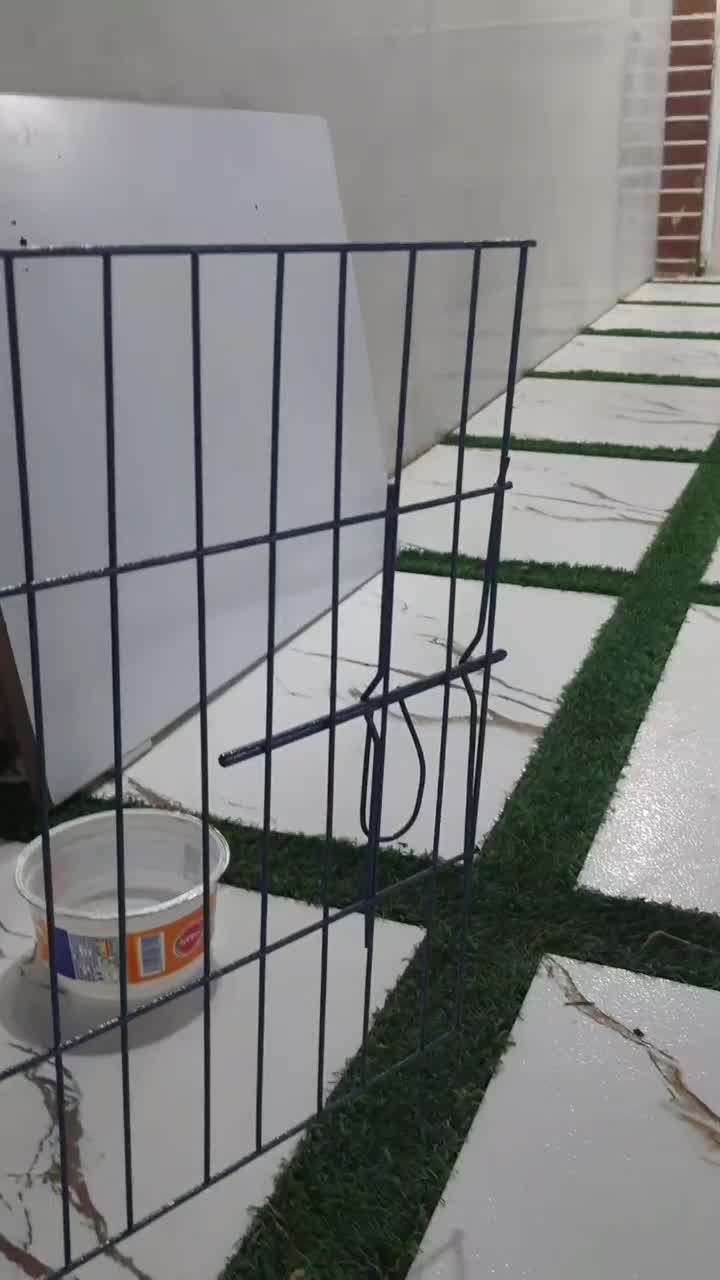 سگ‌قشنگ‌وعالی‌سالم‌زیبا‌ ‌ده تومن‌ ۴‌ماهه|سگ|یزد, |دیوار