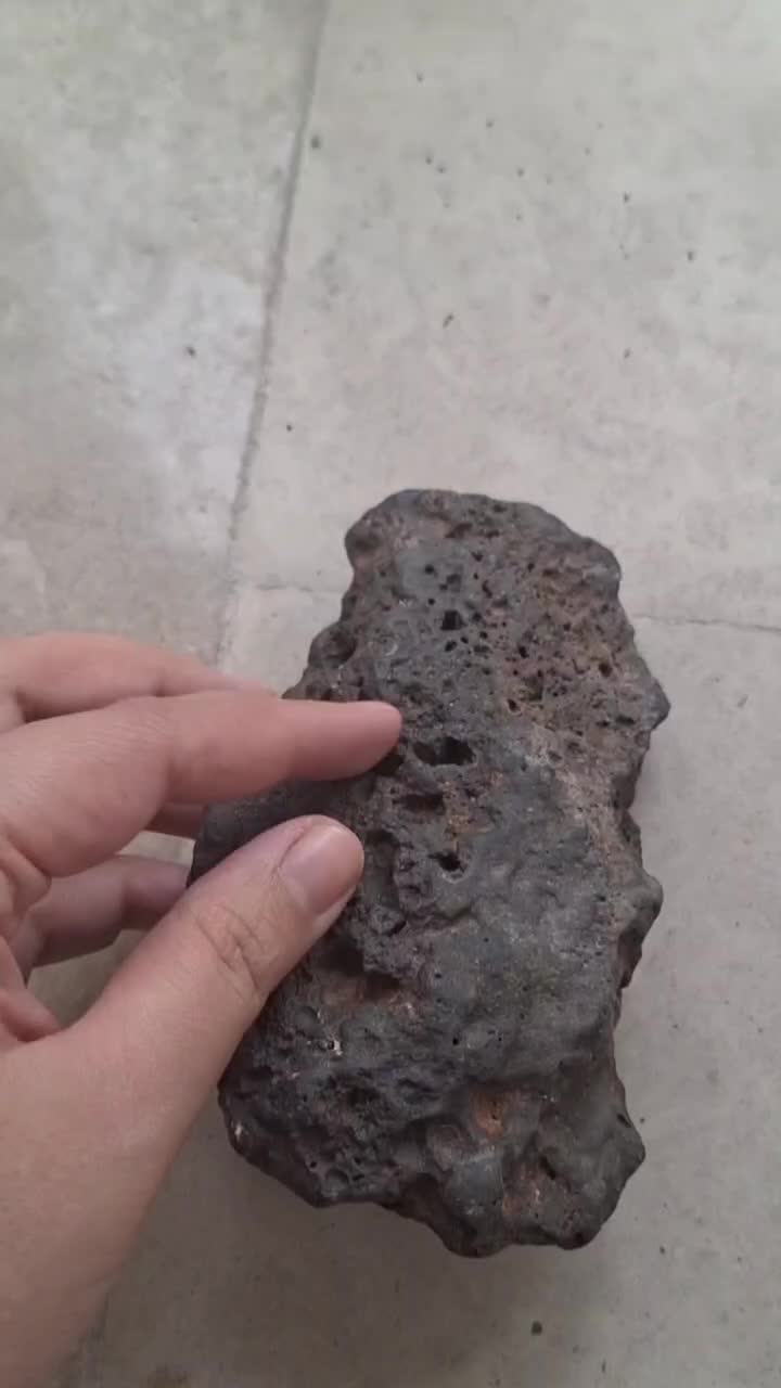 شهاب سنگ|کلکسیون اشیاء عتیقه|رشت, دباغیان|دیوار