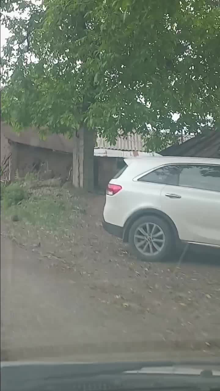 1000mزمین 60mقابل ساخت گردنه حیران|فروش زمین و ملک کلنگی|آستارا, |دیوار