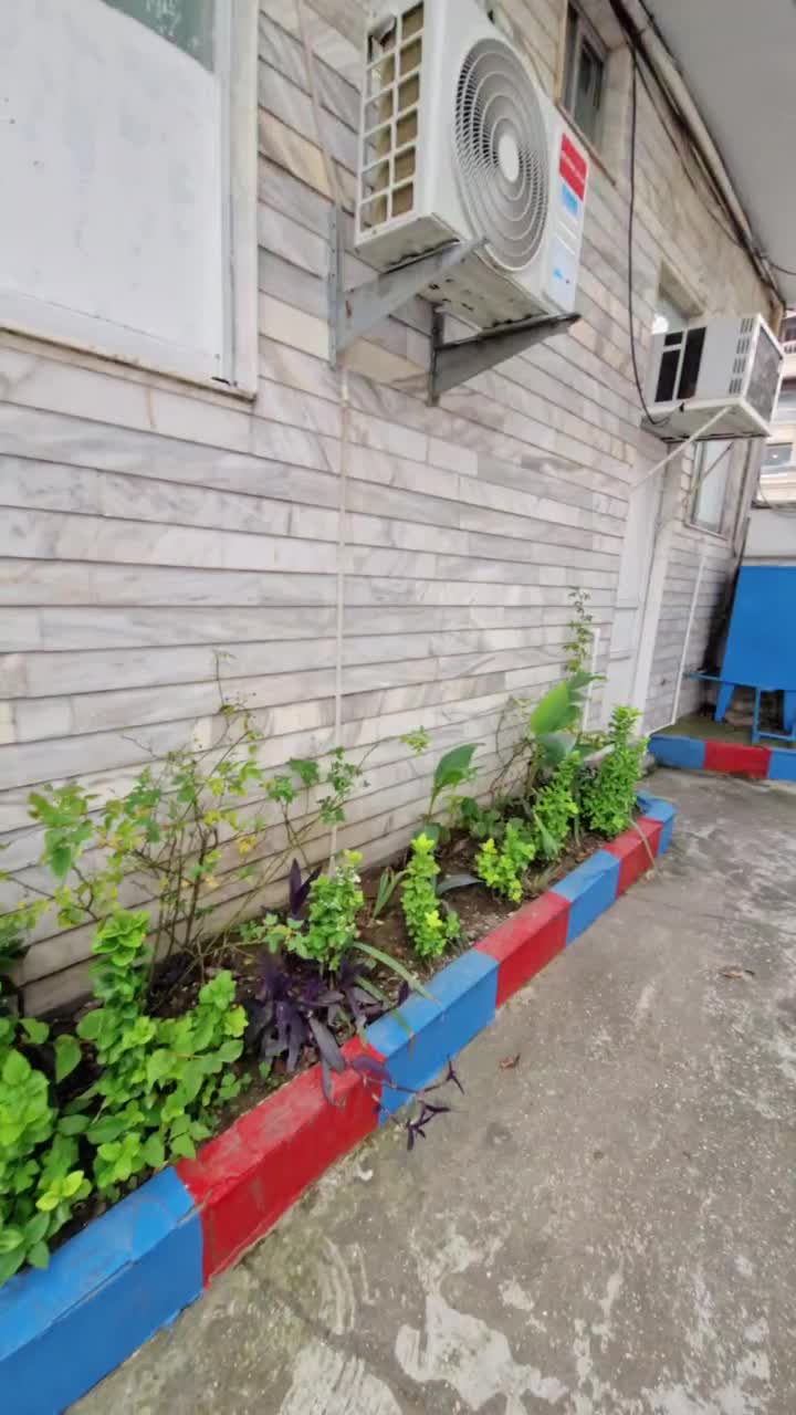 سوئیت  سه تخته خ پاسداران نزدیک دریا|اجارهٔ کوتاه‌مدت آپارتمان و سوئیت|بندر انزلی, پاسداران|دیوار