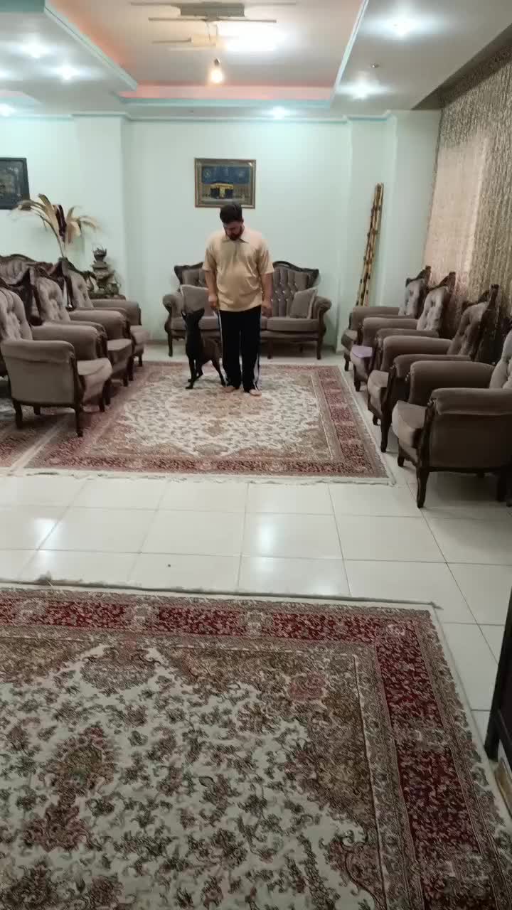 اموزش سگ، مربی سگ، تربیت سگ، تضمینی|خدمات آموزشی|کرج, گوهردشت|دیوار