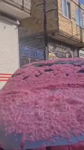 شامپو کف رنگی|مواد شوینده و دستمال کاغذی|تبریز, |دیوار