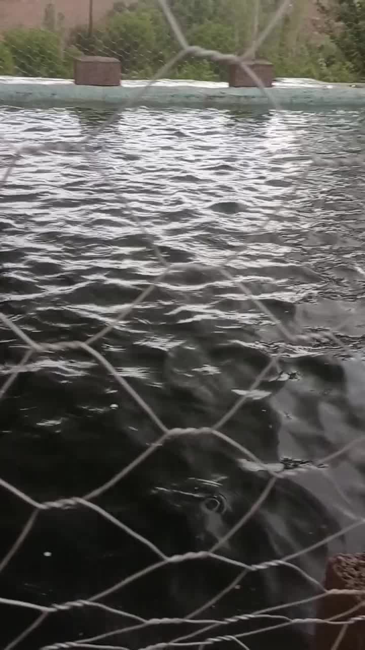 باغ 1200 متری اسجیل زیبا|فروش خانه و ویلا|گلمکان, |دیوار