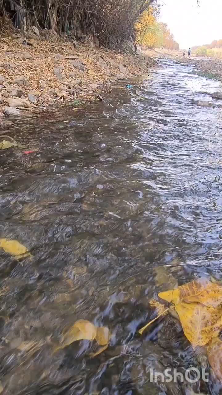 خانه باغ اجاره|اجارهٔ کوتاه‌مدت ویلا و باغ|ملکشاهی, |دیوار