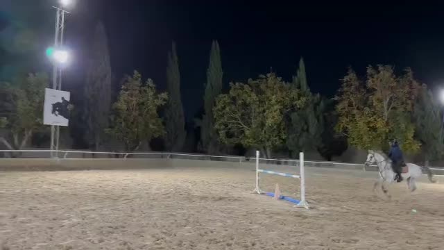 اسب دوسر خارجی پرشی|اسب و تجهیزات اسب‌سواری|باقرشهر, |دیوار