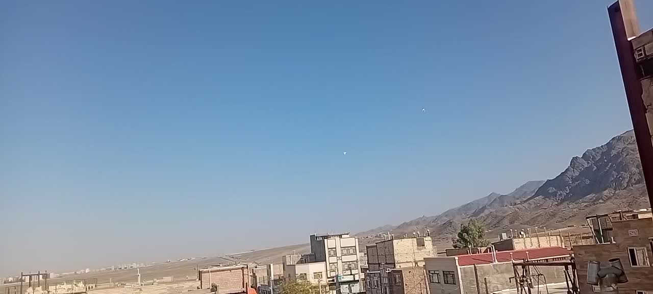 کفتر|پرنده|بیرجند, |دیوار