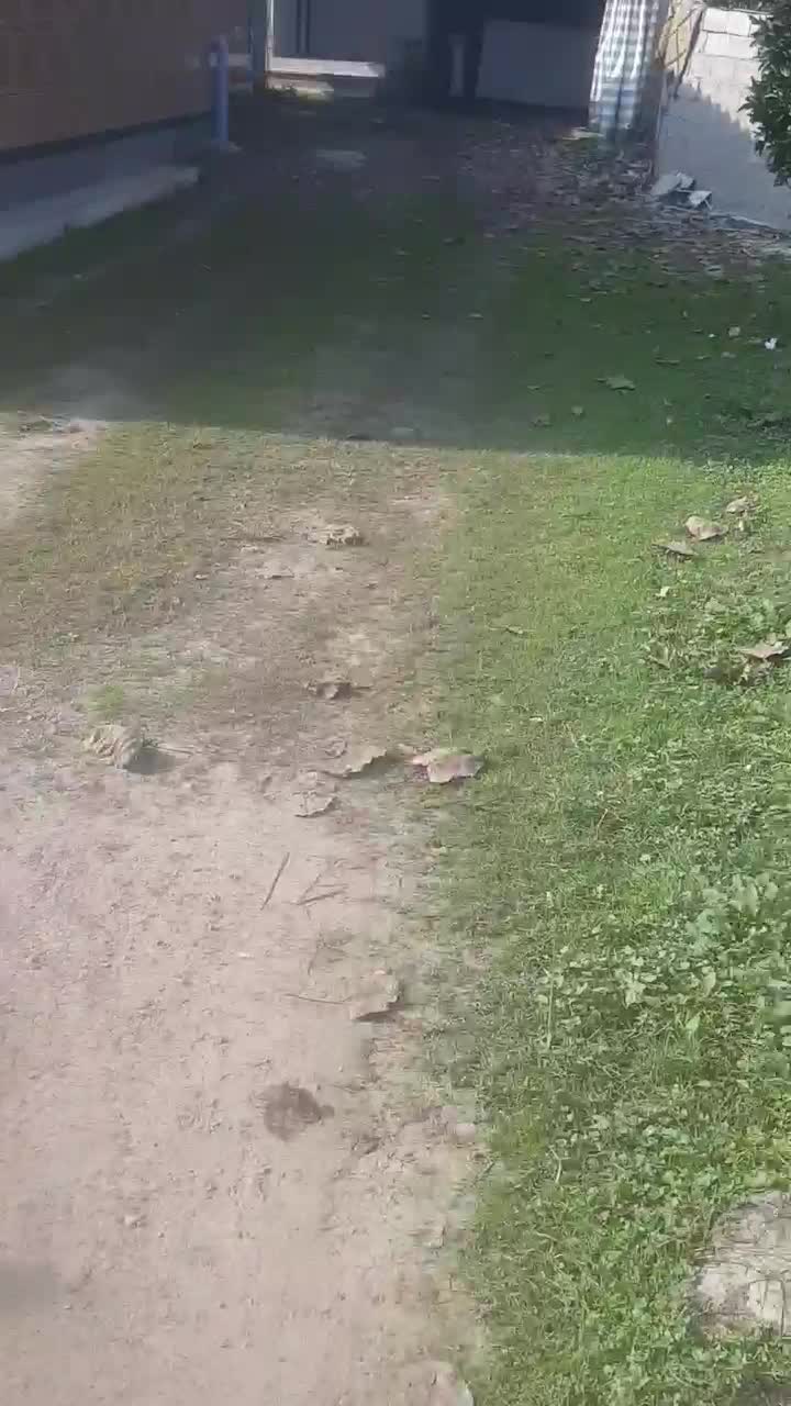 ویلا باغ روستایی|فروش خانه و ویلا|رضوانشهر, |دیوار