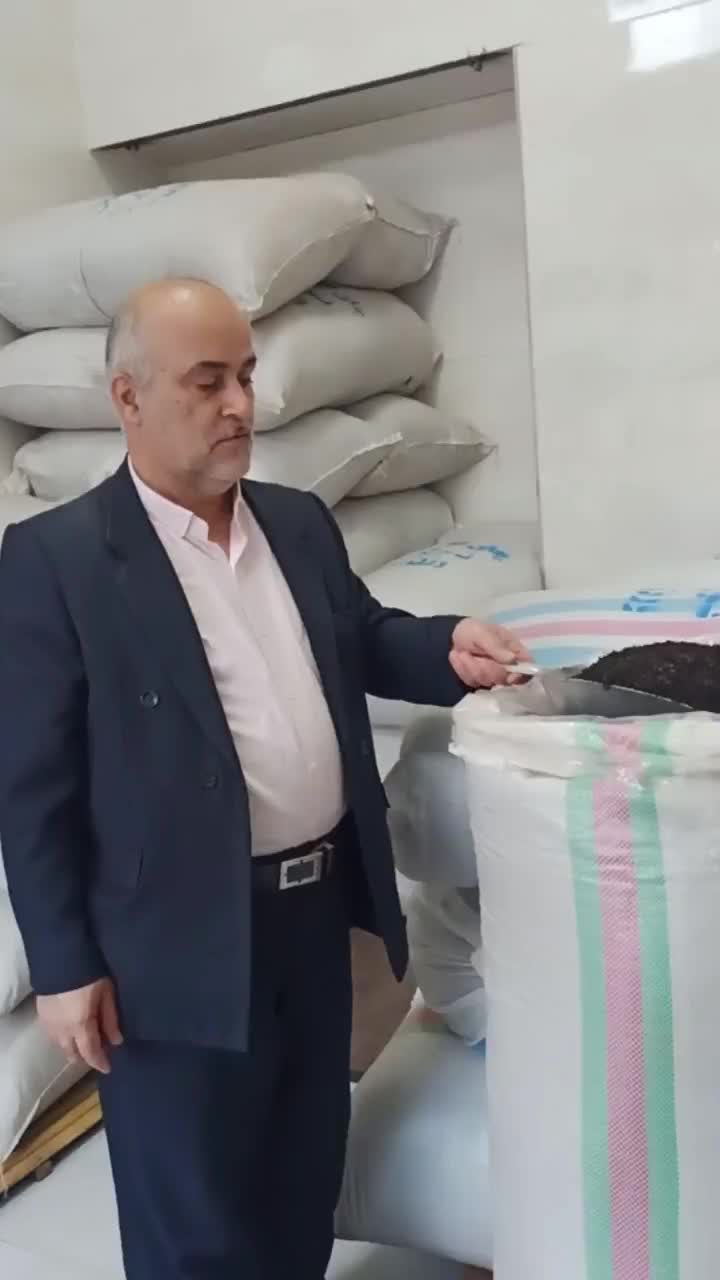 عرضه چای قلم بهاره|خوردنی و آشامیدنی|املش, |دیوار