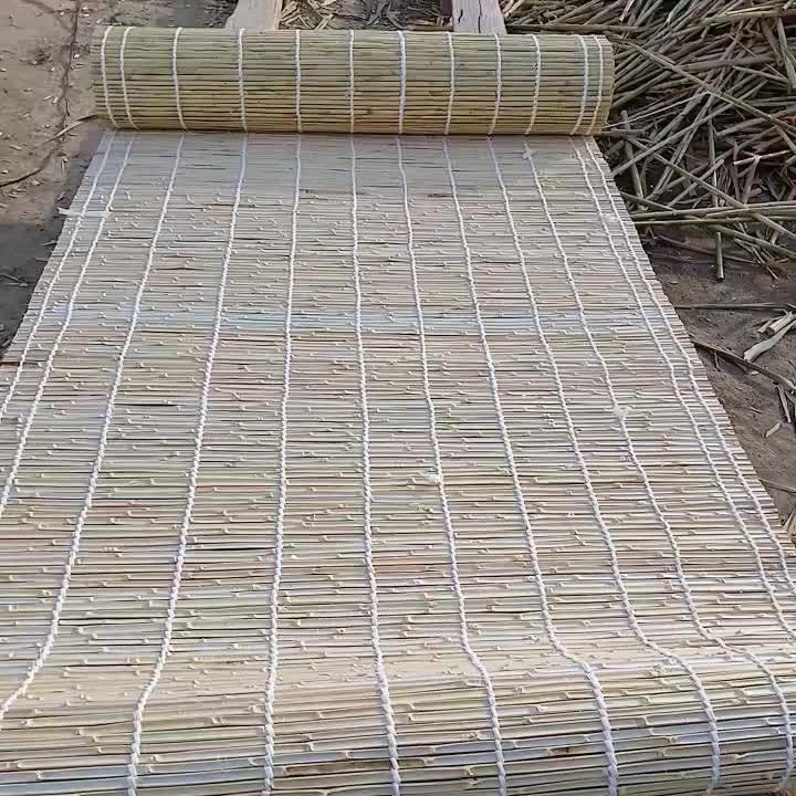 حصیر، پرده حصیری|فعالیت داوطلبانه|گنبد کاووس, |دیوار