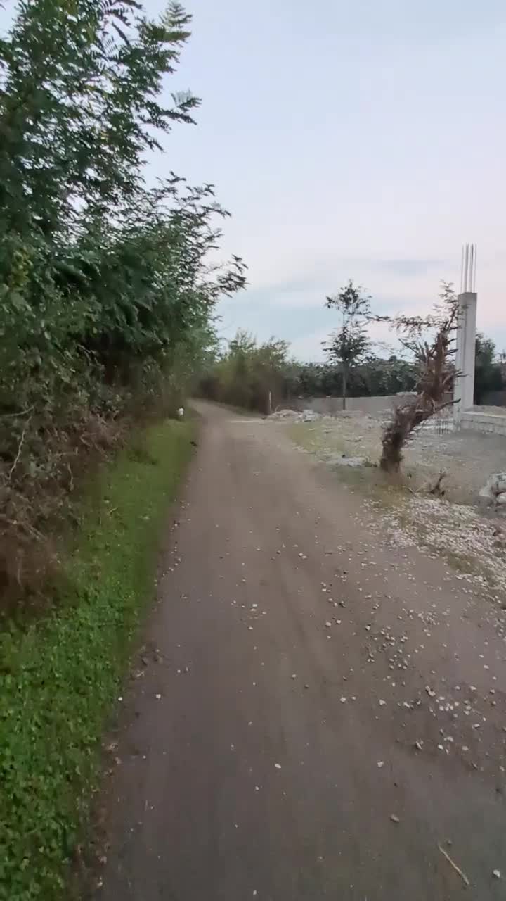 باغ کیوی|فروش زمین و ملک کلنگی|حویق, |دیوار