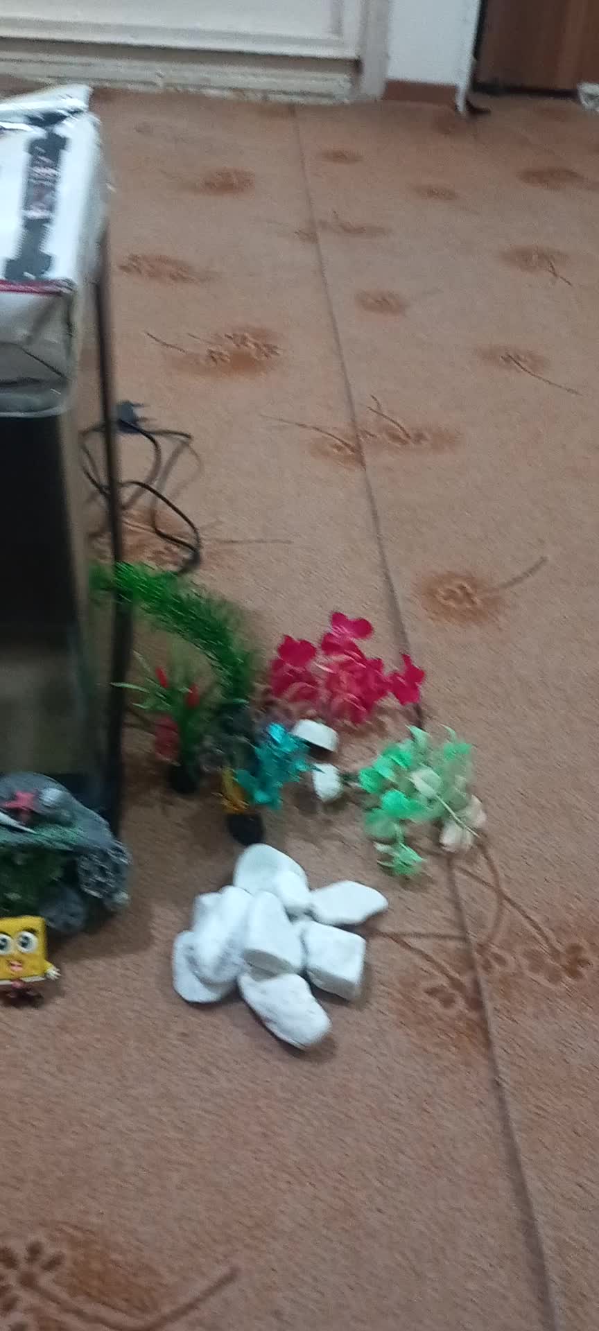 آکواریوم|ماهی|شاهدشهر, |دیوار