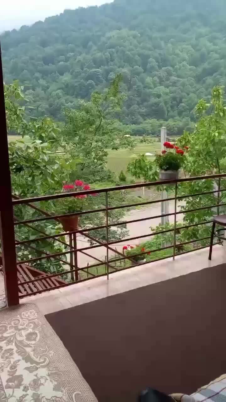 ویلاروستای جنگلی ‌مسیرالسبلنگاه ماسال از‌۱۷ ام|اجارهٔ کوتاه‌مدت ویلا و باغ|رشت, عینک|دیوار
