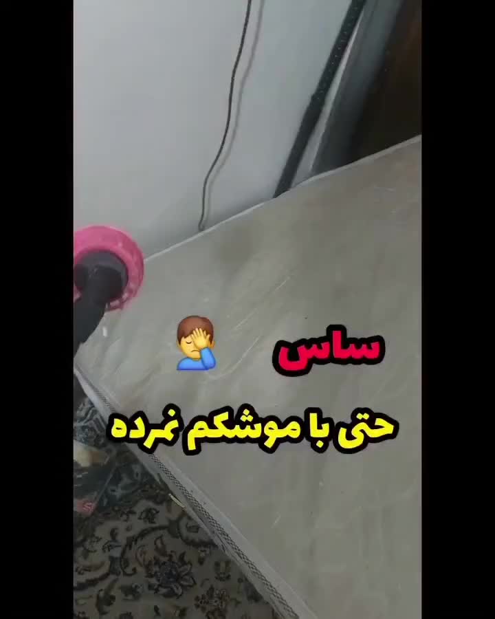 سم پاشی سمپاشی تخصصی ساس،سوسک،مگس و..تضمینی|خدمات نظافت|مشهد, رسالت|دیوار