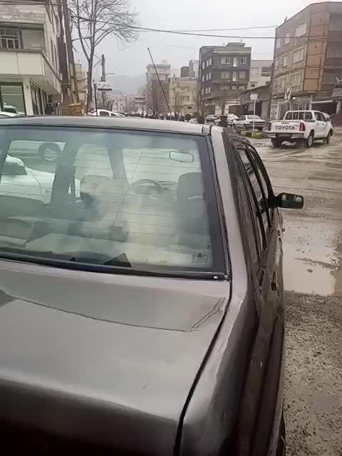 پراید۸۸|خودرو سواری و وانت|مریوان, |دیوار