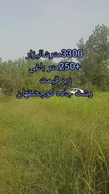 فروش زمین کشاورزی۱۵۵۰ متری|فروش دفتر صنعتی، کشاورزی، تجاری|رشت, حومه رشت|دیوار