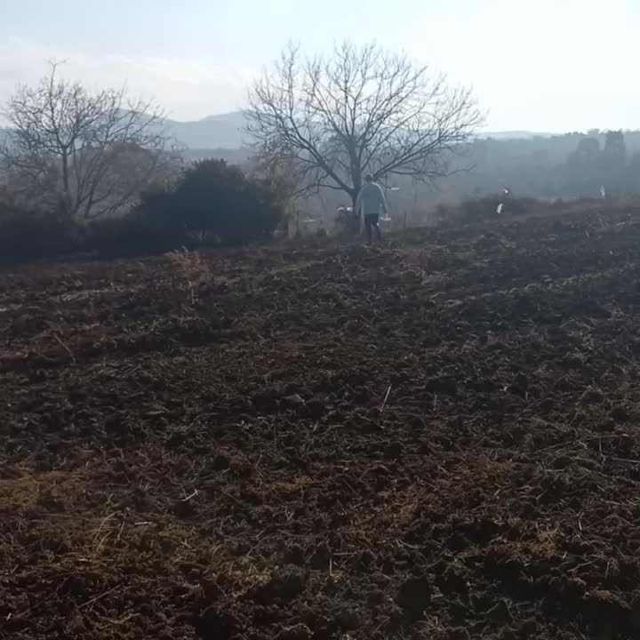 فروش ۳۰۰۰ زمین متری ۳۰۰۰میلیون. .|فروش دفتر صنعتی، کشاورزی، تجاری|پایین هولار, |دیوار