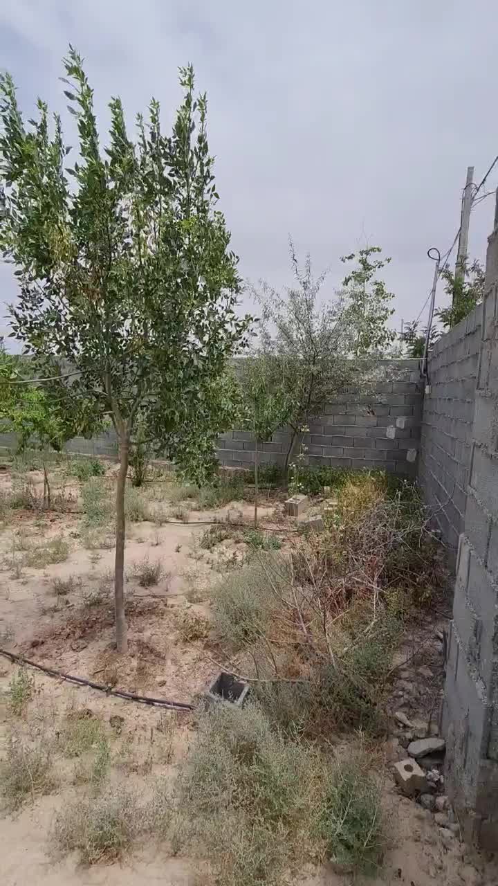 ۷۲۰ متر در مجتمع ویلایی نیلوفر . نگهبانی ۲۴ ساعته|فروش زمین و ملک کلنگی|مشهد, الهیه|دیوار