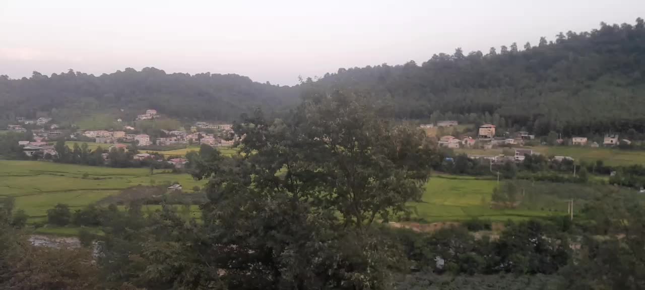 زمین ۲۰۰ متر با مستثنیات|فروش زمین و ملک کلنگی|تالش, جوکندان|دیوار