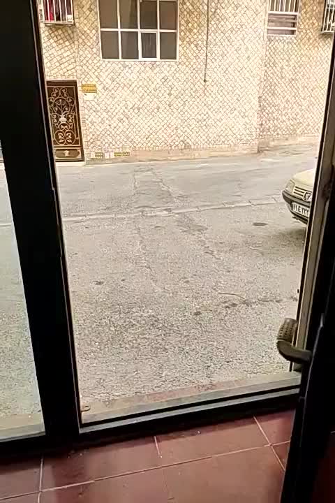 اجاره مغازه20متری  دارای آب برق گاز دوخط تلفن|اجارهٔ مغازه و غرفه|فردیس, داوری|دیوار