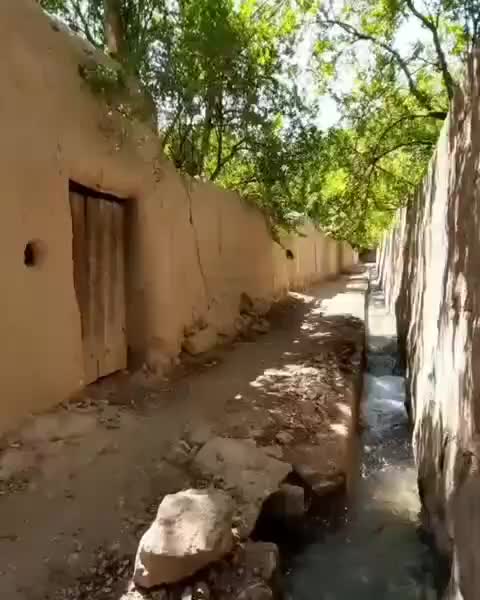 خرید و فروش فیش حج|تور و چارتر|شاهین دژ, |دیوار