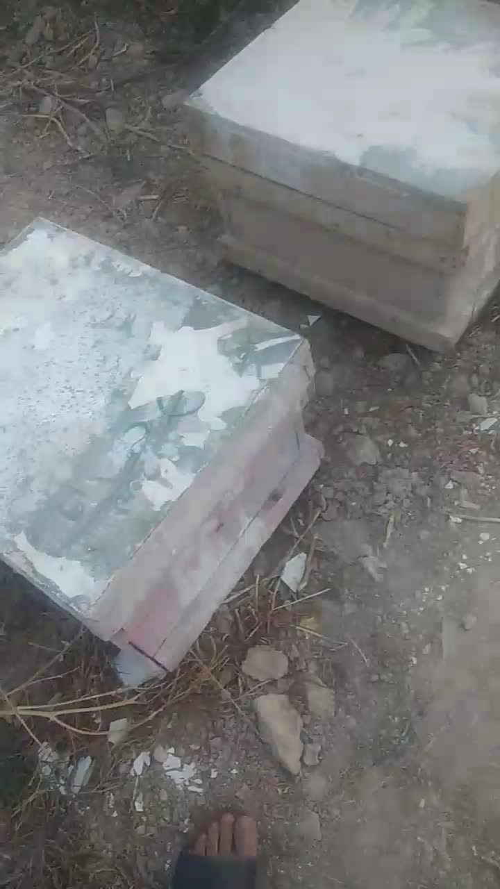 زنبور عسل|حیوانات مزرعه|جره و بالاده, |دیوار