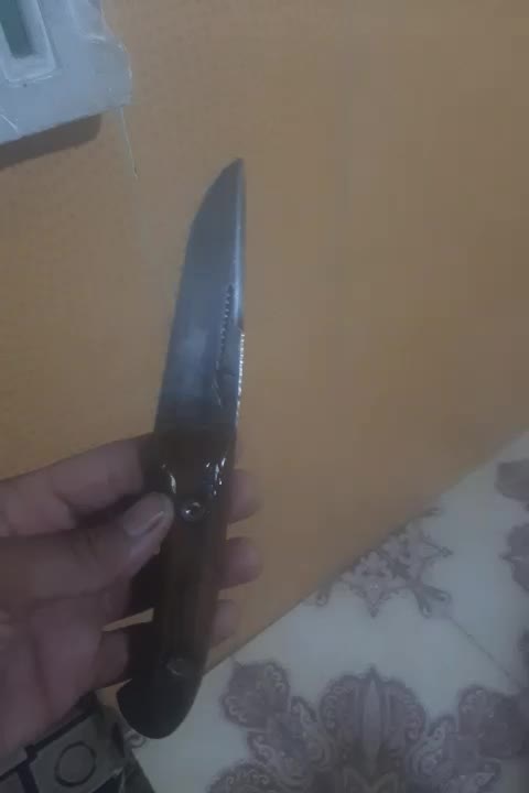 چاقو جوهردار مخصوص سلاخی|کوهنوردی و کمپینگ|میناب, |دیوار