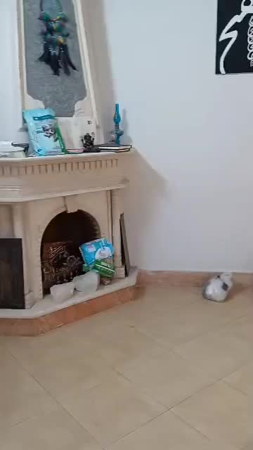 رهن کامل ۱۳۰متری خیابان نساجان|اجارهٔ آپارتمان|پاکدشت, پاکدشت (مامازند)|دیوار