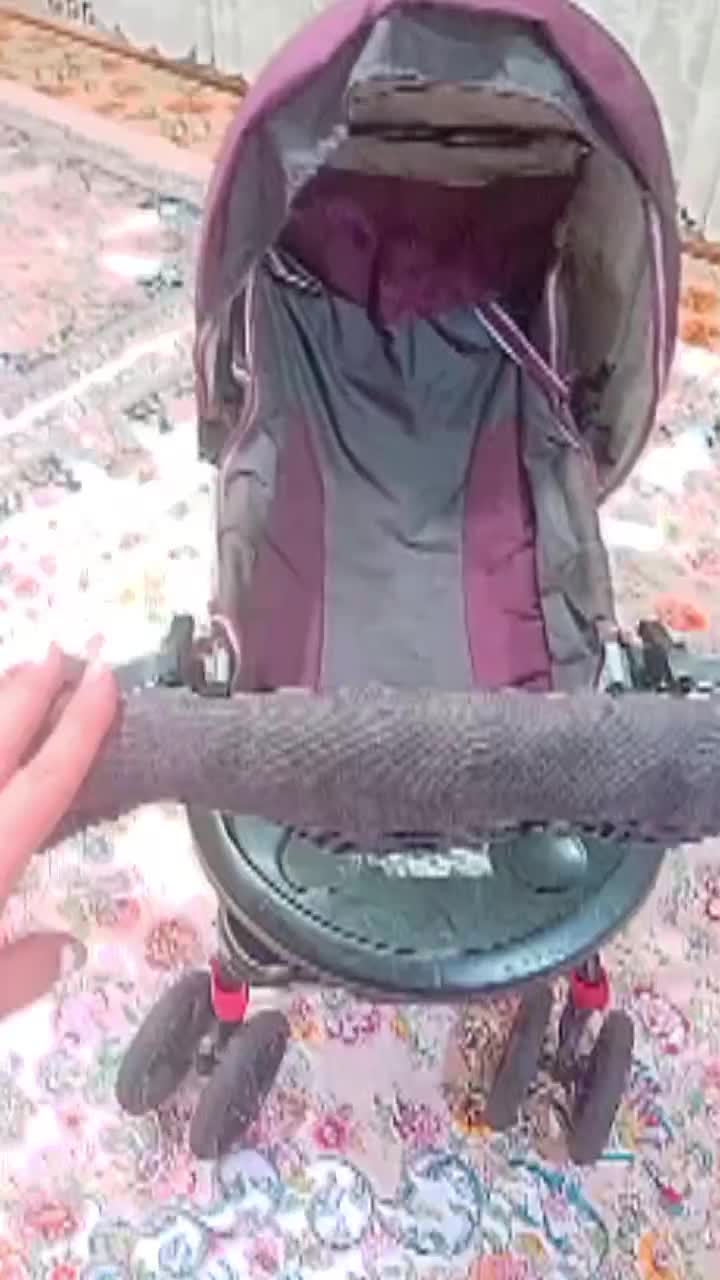 کالسکه دلیجان در حد نو|کالسکه و لوازم جانبی|بروجرد, |دیوار