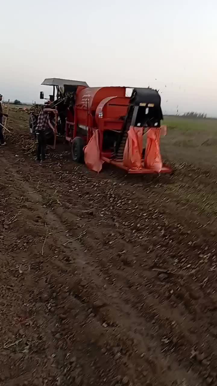 فروش بادام زمینی گلی درجه یک ق98ت|عمدهفروشی|اصلاندوز, |دیوار