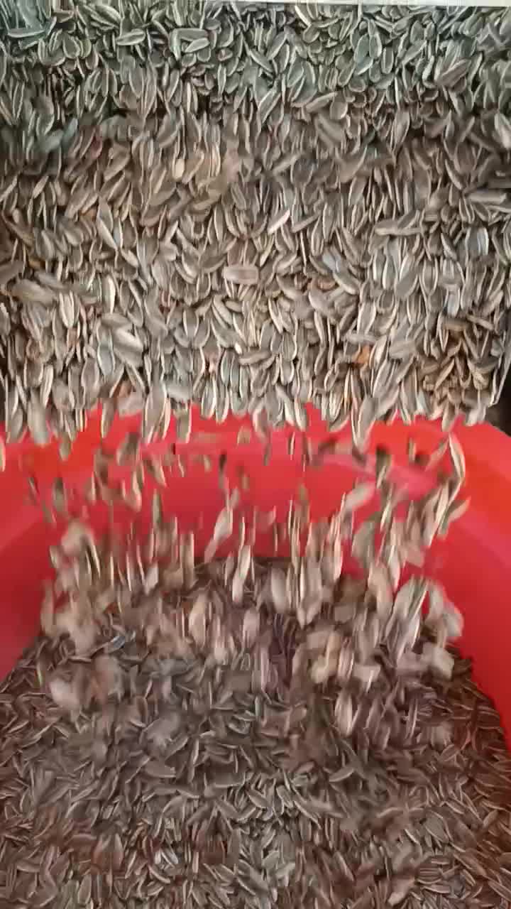 پخش تخمه امیرعلی قرچک ورامین|خوردنی و آشامیدنی|قرچک, زیبا شهر|دیوار