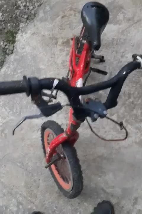 دوچرخه 16|دوچرخه، اسکیت، اسکوتر|رشت, عینک|دیوار