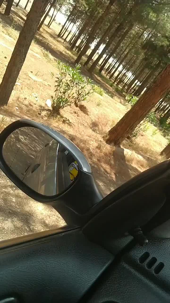 منبع اگزوز برقی ABS|قطعات یدکی و لوازم جانبی|شاهینشهر, شهرک ردانی پور|دیوار