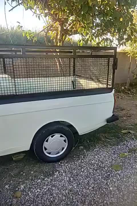 پیکان وانت فروشی|خودرو سواری و وانت|دلند, |دیوار